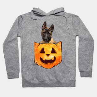 Malinois Dog In Pumpkin Pocket Halloween Hoodie